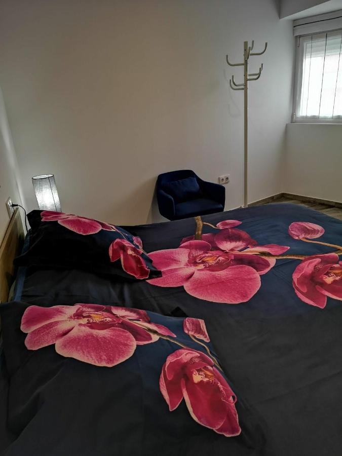 Apartamento Ibanez 베니돔 외부 사진